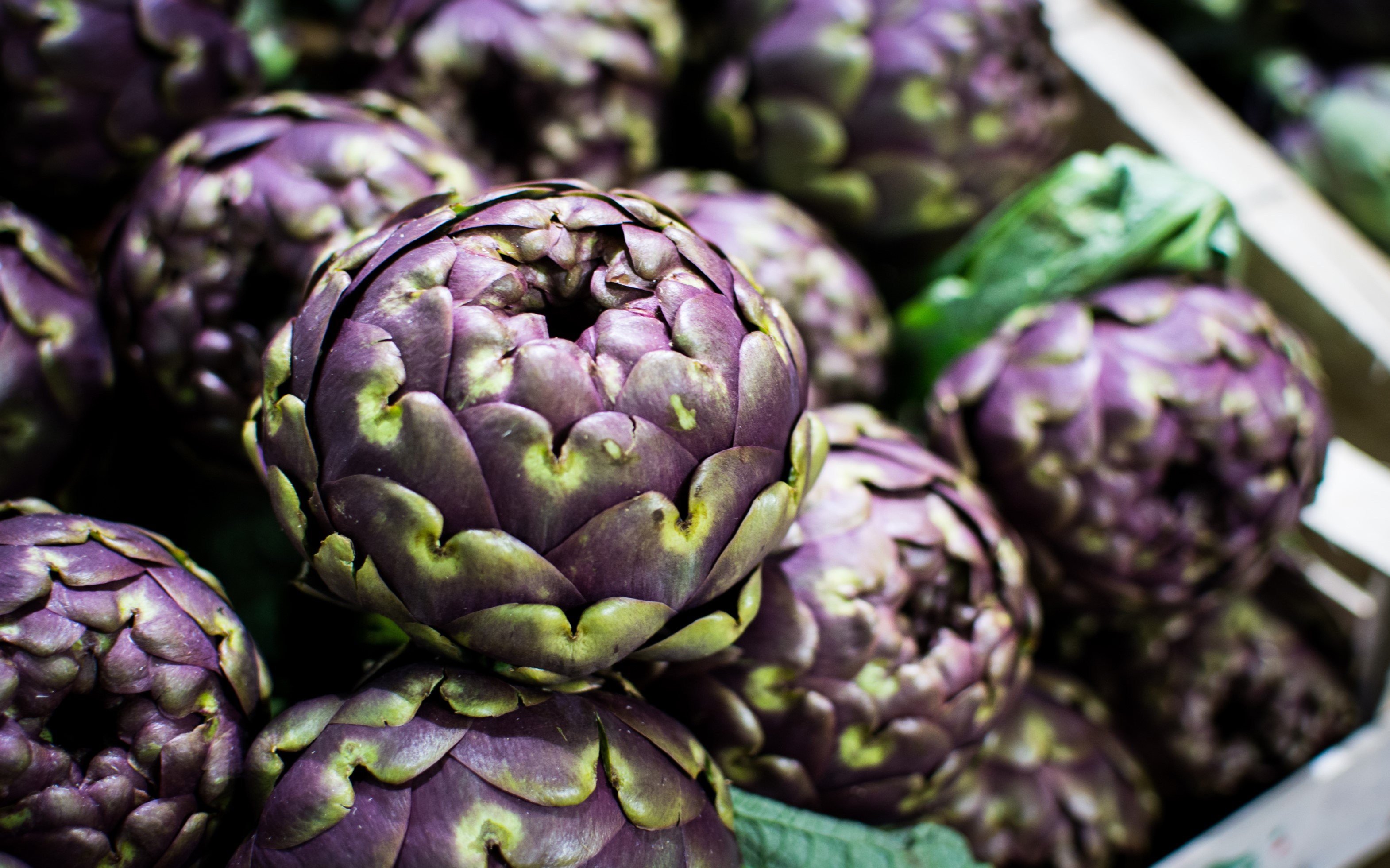 artichoke 2