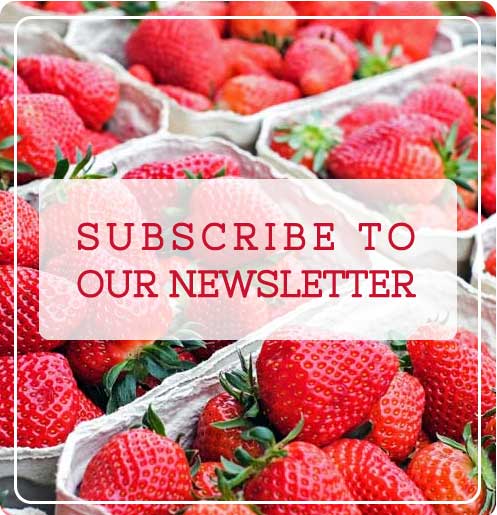 Digestive Nutrition Clinic Newsletter